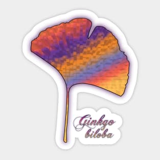 Ginkgo biloba Sticker